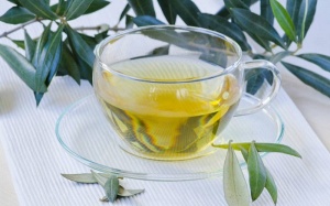 Uống trà lá olive: Ngừa ung thư, tăng miễn dịch