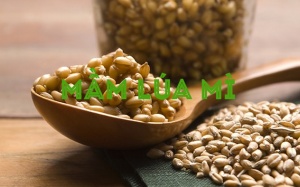 Ăn mầm lúa mì có lợi gì?
