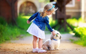 Cún cưng: Không chỉ đáng yêu mà còn vô vàn lợi ích cho sức khỏe