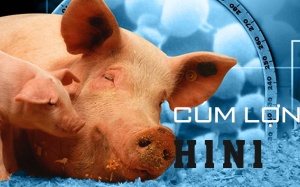 Mối liên hệ giữa cúm lợn và đái tháo đường type 1