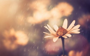 Tử vi 12 cung hoàng đạo Chủ nhật (17/9/2017)