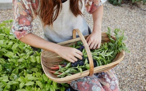 7 loại thảo dược cần có trong tủ thuốc gia đình