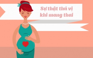 20 sự thật thú vị khi mang thai có thể bạn chưa biết