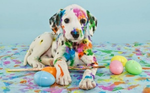 Tử vi tuần mới (25/9 - 1/10/2017) với 12 cung hoàng đạo