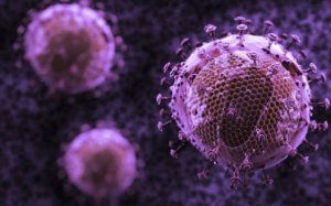 Mỹ: Phát hiện ra siêu kháng thể tấn công đến 99% các chủng virus HIV