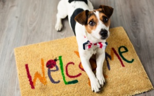 Tử vi 12 cung hoàng đạo thứ Tư (27/9/2017)