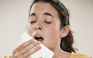 4 hợp chất kháng histamin tự nhiên tốt cho người hay bị dị ứng