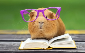 Tử vi 12 cung hoàng đạo thứ Bảy (30/9/2017)