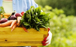 Tại sao bạn nên cân nhắc sử dụng thực phẩm hữu cơ? 