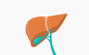 Tip phòng ngừa sỏi mật chỉ bằng kiểm soát cân nặng, chế độ ăn