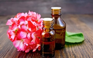 Cách dùng tinh dầu trị đau đầu không sợ hại gan thận như thuốc