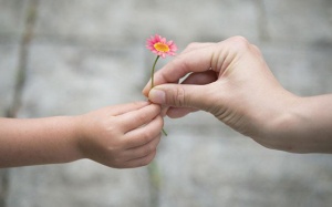 Tử vi 12 cung hoàng đạo thứ Năm (12/10/2017)