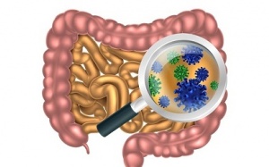  Cân bằng hệ vi sinh vật trong đường ruột bằng cách nào?