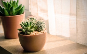 Tử vi 12 cung hoàng đạo thứ Ba (17/10/2017)