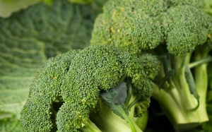 Bông cải xanh giúp đường ruột khỏe mạnh hơn