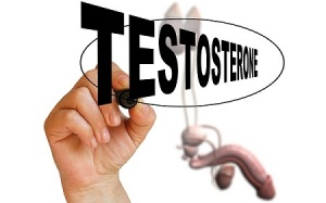 Ngoài tinh hoàn, cơ quan nào cũng chịu trách nhiệm sản xuất testosterone?