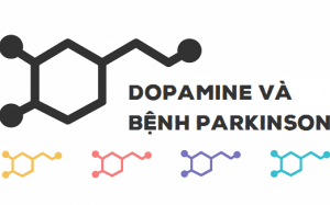 Thiếu dopamine - nguyên nhân chính gây bệnh Parkinson