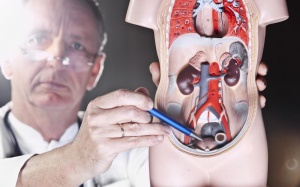 Liệu pháp tước androgen làm tăng nguy cơ mắc bệnh tim mạch