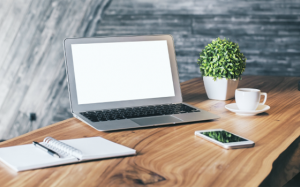 Infographic: Trồng cây xanh trong văn phòng có lợi gì?