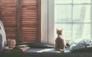 Tử vi 12 cung hoàng đạo Chủ nhật (22/10/2017)