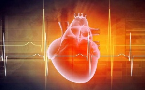 Nghiên cứu: Hướng đi mới trong điều trị bệnh suy tim 