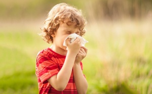 Hắt hơi không phải lúc nào cũng do cảm lạnh hay dị ứng