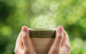 Muốn chống cảm lạnh và cảm cúm, hãy uống 8 loại trà thảo mộc sau