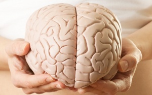 Video: Tiết lộ giật mình về bộ não con người!