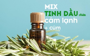 Chỉ dẫn mix tinh dầu để giảm cảm lạnh và cảm cúm hiệu quả
