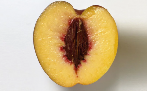 Những sự thật về vùng kín đảm bảo bạn không biết