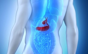 Viêm tụy mạn tính: Bệnh hiểm chưa có thuốc chữa