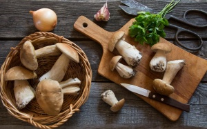 Nấm porcini (thông) giàu chất chống oxy hóa, cực tốt cho sức khỏe 