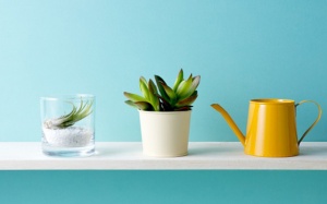 Tử vi 12 cung hoàng đạo thứ Tư (15/11/2017)