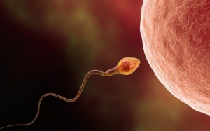 6 thủ phạm đang làm giảm số lượng tinh binh của quý ông