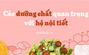 Cần bổ sung dưỡng chất gì để các tuyến nội tiết hoạt động hiệu quả? 