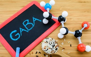 Infographic: GABA có lợi ích gì cho sức khỏe?