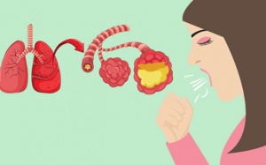 Những biện pháp giúp bạn phòng ngừa bệnh viêm phổi