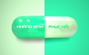 Chỉ dẫn giúp phục hồi cơ thể sau khi uống thuốc kháng sinh