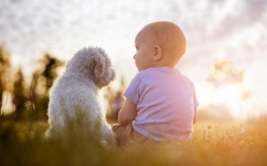 Tử vi 12 cung hoàng đạo thứ Bảy (25/11/2017)