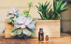 15 tinh dầu được chứng minh giúp giảm lão hóa da hiệu quả