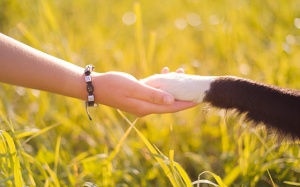 Tử vi 12 cung hoàng đạo thứ Ba (28/11/2017)