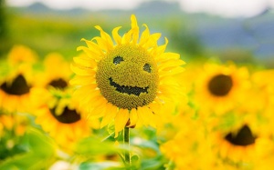 Tử vi 12 cung hoàng đạo thứ Năm (30/11/2017)