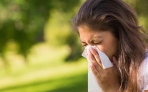 Hết cảm cúm, ngạt mũi trong mùa Đông bằng các loại tinh dầu