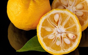 Quả yuzu đặc sản Nhật Bản có tốt cho sức khỏe không?