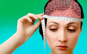  Video: Não càng lớn càng thông minh - Đúng hay sai?