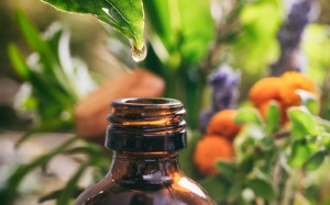 Giới nghiên cứu chứng minh 5 loại tinh dầu này giúp làm mờ vết rạn da