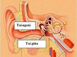 Chảy máu tai là mắc những bệnh gì? 