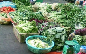 Rau tươi tồn dư hóa chất cao nhất trong các loại nông sản