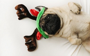 Tử vi 12 cung hoàng đạo thứ Tư (6/12/2017)