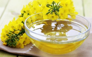 Ăn nhiều dầu hạt cải có thể gây hại cho não?